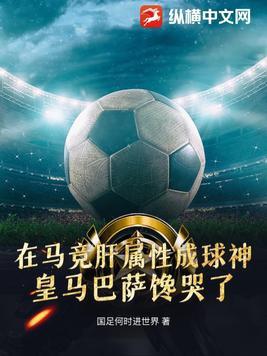 西甲专用足球 西甲专用足球