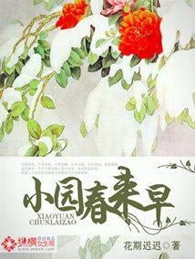 全诗意思 全诗意思