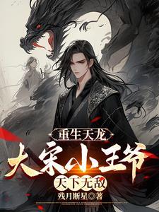 重生天龙之大宋闲王 重生天龙之大宋闲王