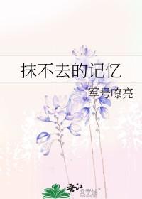 抹不去的回忆450字 抹不去的回忆450字