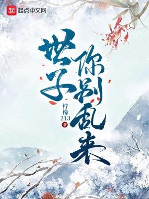 世子你别乱来百科 世子你别乱来百科