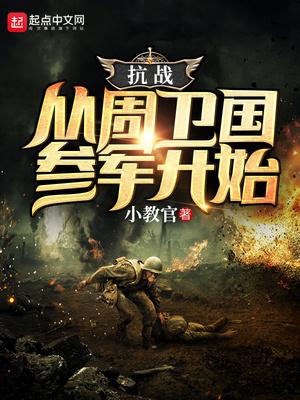 抗日之周卫国系统 抗日之周卫国系统