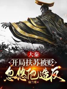 大秦我 大秦我