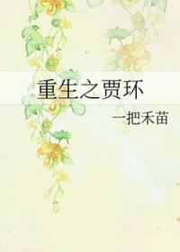 红楼梦贾环重生