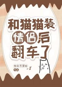 和猫猫装情侣后翻车了 和猫猫装情侣后翻车了